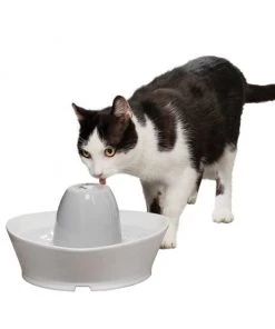 PetSafe Creekside Ceramic Dog & Cat Fountain, 60-oz -PetSafe Store 247077 PT7. SY630 V1608081821