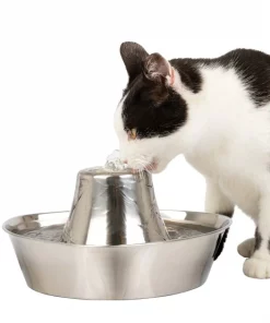 PetSafe Seaside Stainless Dog & Cat Fountain