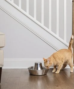 PetSafe Seaside Stainless Dog & Cat Fountain -PetSafe Store 247079 PT6. SY630 V1596739601