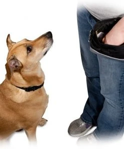 PetSafe||Bil-Jac PetSafe Treat Pouch Sport, Black & Bil-Jac Little-Jacs Small Dog Chicken Liver Training Dog Treats -PetSafe Store 255839 PT2. SY630 V1604061428