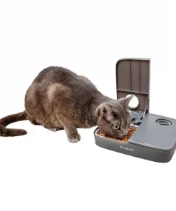 PetSafe Automatic Two-Meal Dog Feeder