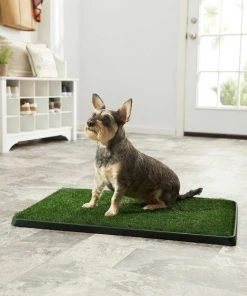 Frisco||PetSafe Frisco Indoor Grass Potty, 30 x 20 in + PetSafe Pet Loo Wee Care Enzyme Cleaner -PetSafe Store 303462 PT3. SY630 V1623049351