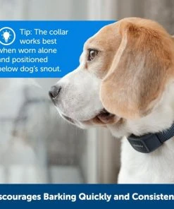 PetSafe Audible Bark Dog Collar, Blue -PetSafe Store 309045 PT5. SY630 V1658952596
