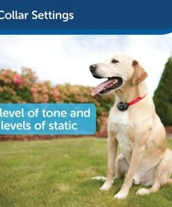 PetSafe Deluxe In-Ground UltraLight Receiver Collar -PetSafe Store 320907 PT3. SY630 V1631050042