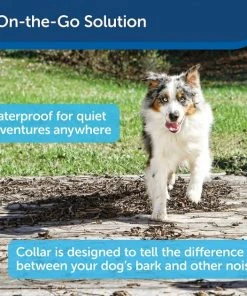 PetSafe Static Basic Waterproof Dog Bark Collar -PetSafe Store 320912 PT2. SY630 V1631052109