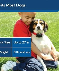 PetSafe Static Basic Waterproof Dog Bark Collar -PetSafe Store 320912 PT5. SY630 V1631063199