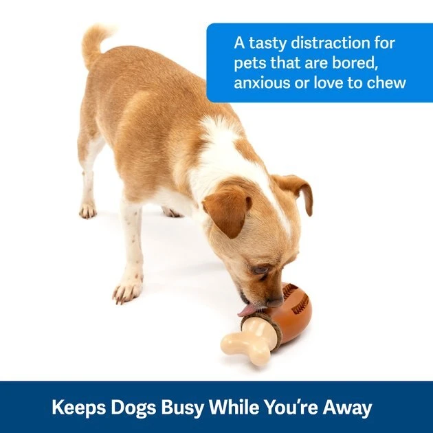 PetSafe Busy Buddy Chompin' Chicken Chew Dog Toy 2 PetSafe Busy Buddy Chompin' Chicken Chew Dog Toy - Image 2