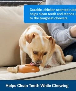 PetSafe Busy Buddy Chompin' Chicken Chew Dog Toy 10 PetSafe Busy Buddy Chompin' Chicken Chew Dog Toy -PetSafe Store 346848 PT2. SY630 V1637003190