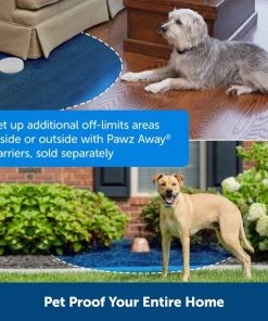 PetSafe Classic In-Ground Fence Rechargeable Receiver Dog & Cat Collar -PetSafe Store 363240 PT4. SY630 V1651253205