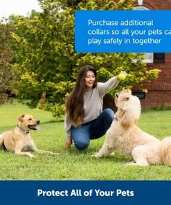 PetSafe Classic In-Ground Fence Rechargeable Receiver Dog & Cat Collar -PetSafe Store 363240 PT5. SY630 V1651249296