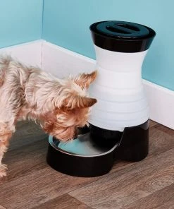 PetSafe Healthy Gravity Refill Dog & Cat Waterer -PetSafe Store 63118 PT2. SY630 V1539810124