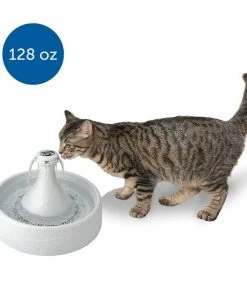 Drinkwell 360 Plastic Dog & Cat Fountain -PetSafe Store 63124 PT8. SY630 V1598895066