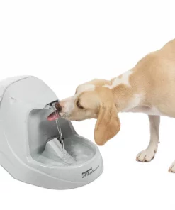 Drinkwell Platinum Plastic Dog & Cat Fountain