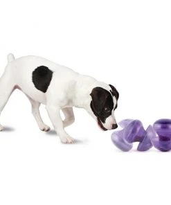 Busy Buddy Magic Mushroom Treat Dispenser Dog Toy -PetSafe Store 63191 PT2. SY630 V1602310560