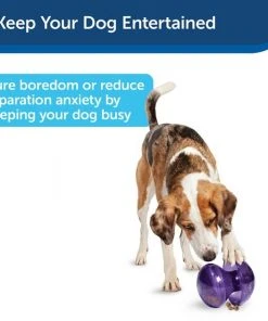 Busy Buddy Magic Mushroom Treat Dispenser Dog Toy -PetSafe Store 63191 PT3. SY630 V1602299758