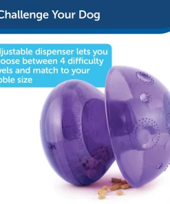 Busy Buddy Magic Mushroom Treat Dispenser Dog Toy -PetSafe Store 63191 PT6. SY630 V1602290768