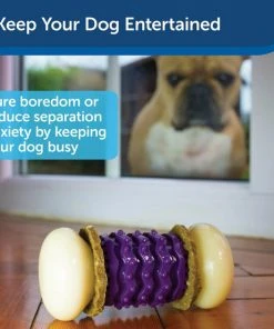 PetSafe Sportsmen Nobbly Nubbly Treat Dispensing Tough Dog Chew Toy -PetSafe Store 63195 PT3. SY630 V1602327660