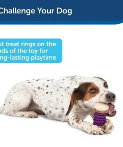 PetSafe Sportsmen Nobbly Nubbly Treat Dispensing Tough Dog Chew Toy -PetSafe Store 63195 PT6. SY630 V1602307859