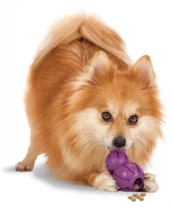 Busy Buddy Barnacle Treat Dispenser Tough Dog Chew Toy -PetSafe Store 63204 PT2. SY630 V1602310259