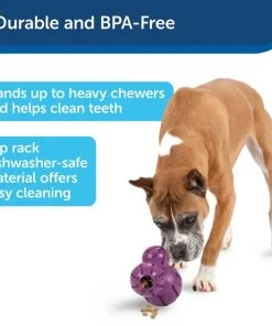 Busy Buddy Barnacle Treat Dispenser Tough Dog Chew Toy -PetSafe Store 63204 PT4. SY630 V1602338463