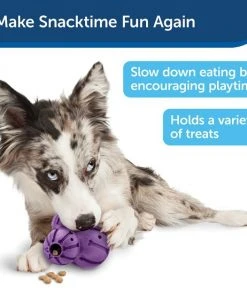 Busy Buddy Barnacle Treat Dispenser Tough Dog Chew Toy -PetSafe Store 63204 PT7. SY630 V1602338768