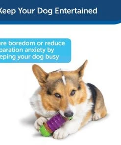 Busy Buddy Ultra Stratos Treat Dispenser Tough Dog Chew Toy -PetSafe Store 63313 PT3. SY630 V1602313861