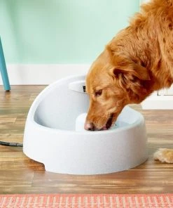 Drinkwell Everflow Plastic Dog & Cat Fountain -PetSafe Store 63326 PT2. SY630 V1539373024