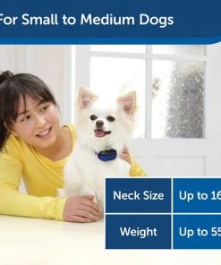 PetSafe Elite Little Dog Waterproof Spray Dog Bark Collar -PetSafe Store 63579 PT5. SY630 V1617317553