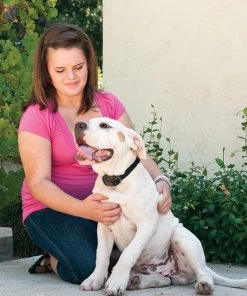 PetSafe Waterproof Vibration Dog Bark Collar -PetSafe Store 63591 PT2. SY630 V1448660781