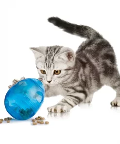 PetSafe Funkitty Egg-Cersizer Treat Dispenser Cat Toy 7 PetSafe Funkitty Egg-Cersizer Treat Dispenser Cat Toy -PetSafe Store 63701 PT2. SY630 V1620010038