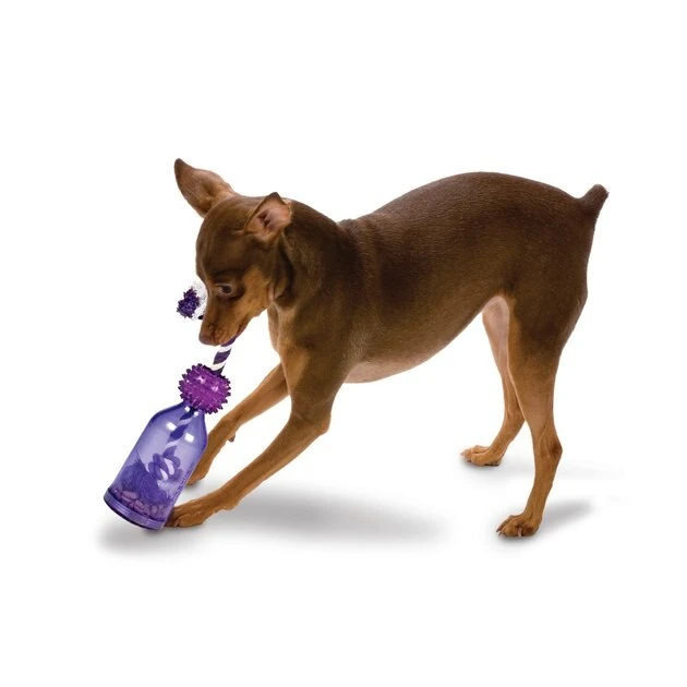 Busy Buddy Tug-A-Jug Treat Dispenser Tough Dog Chew Toy 3 Busy Buddy Tug-A-Jug Treat Dispenser Tough Dog Chew Toy - Image 3