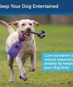 Busy Buddy Tug-A-Jug Treat Dispenser Tough Dog Chew Toy 11 Busy Buddy Tug-A-Jug Treat Dispenser Tough Dog Chew Toy -PetSafe Store 63849 PT3. SY630 V1602300965