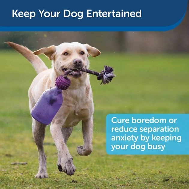 Busy Buddy Tug-A-Jug Treat Dispenser Tough Dog Chew Toy 4 Busy Buddy Tug-A-Jug Treat Dispenser Tough Dog Chew Toy - Image 4