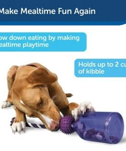 Busy Buddy Tug-A-Jug Treat Dispenser Tough Dog Chew Toy 15 Busy Buddy Tug-A-Jug Treat Dispenser Tough Dog Chew Toy -PetSafe Store 63849 PT7. SY630 V1602339665