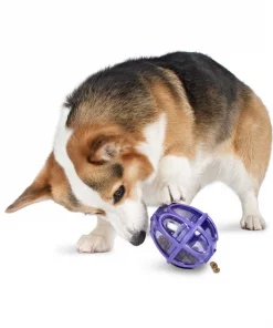 Busy Buddy Kibble Nibble Treat Dispenser Dog Toy -PetSafe Store 63853 PT2. SY630 V1602315662