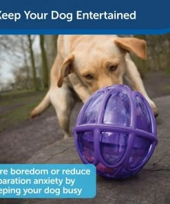 Busy Buddy Kibble Nibble Treat Dispenser Dog Toy -PetSafe Store 63853 PT3. SY630 V1602332460