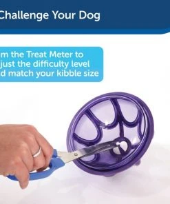 Busy Buddy Kibble Nibble Treat Dispenser Dog Toy -PetSafe Store 63853 PT6. SY630 V1602330059