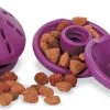 Busy Buddy Twist 'n Treat Treat Dispenser Dog Toy