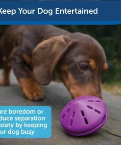 Busy Buddy Twist 'n Treat Treat Dispenser Dog Toy -PetSafe Store 63856 PT3. SY630 V1602306965