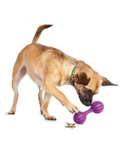 Busy Buddy Waggle Treat Dispenser Dog Toy 10 Busy Buddy Waggle Treat Dispenser Dog Toy -PetSafe Store 63862 PT2. SY630 V1602303361