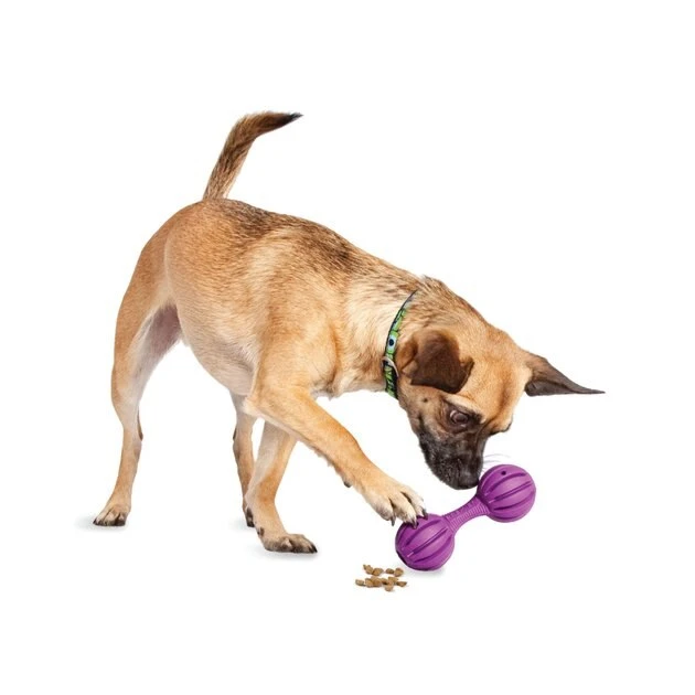 Busy Buddy Waggle Treat Dispenser Dog Toy 3 Busy Buddy Waggle Treat Dispenser Dog Toy - Image 3