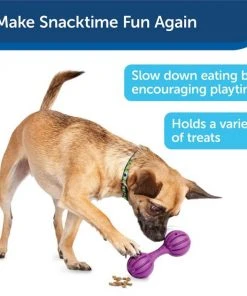 Busy Buddy Waggle Treat Dispenser Dog Toy 14 Busy Buddy Waggle Treat Dispenser Dog Toy -PetSafe Store 63862 PT7. SY630 V1602314160