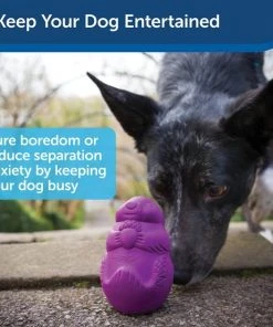 Busy Buddy Squirrel Dude Treat Dispenser Tough Dog Chew Toy 10 Busy Buddy Squirrel Dude Treat Dispenser Tough Dog Chew Toy -PetSafe Store 63866 PT3. SY630 V1602322561