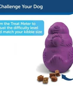 Busy Buddy Squirrel Dude Treat Dispenser Tough Dog Chew Toy 12 Busy Buddy Squirrel Dude Treat Dispenser Tough Dog Chew Toy -PetSafe Store 63866 PT6. SY630 V1602305458