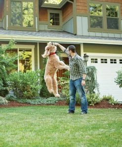 PetSafe Wireless Containment System -PetSafe Store 63890 PT7. SY630 V1523992022