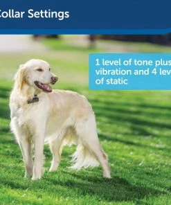 PetSafe Stubborn Dog In-Ground Fence System -PetSafe Store 63894 PT4. SY630 V1590605776