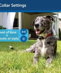 PetSafe In-Ground Fence System 13 PetSafe In-Ground Fence System -PetSafe Store 63896 PT4. SY630 V1644432409