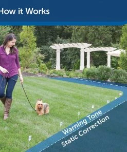 PetSafe Stubborn Dog In-Ground Receiver Collar -PetSafe Store 63902 PT3. SY630 V1606391509