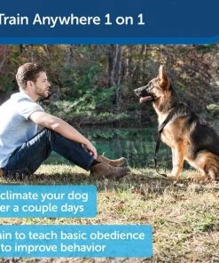 PetSafe Collarless Ultrasonic Remote Trainer System 9 PetSafe Collarless Ultrasonic Remote Trainer System -PetSafe Store 63916 PT3. SY630 V1619794034