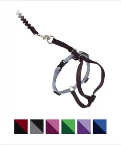 PetSafe Come With Me Kitty Nylon Cat Harness & Bungee Leash
